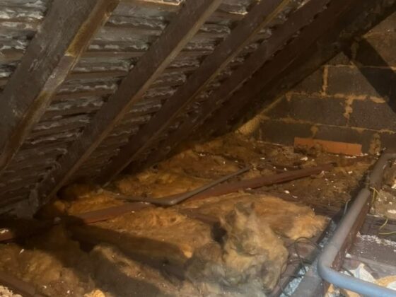 J Peacock Home Insulations